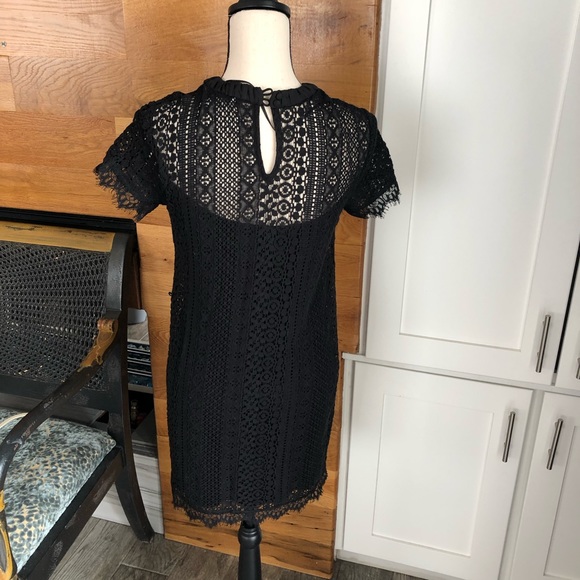 Lauren Conrad Black Lace Dress - Picture 3 of 8